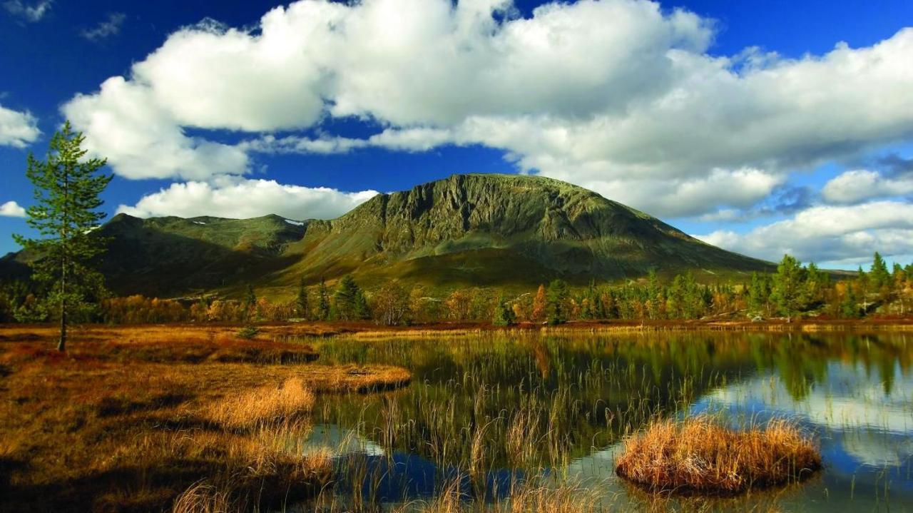 Snoya Lodge Hemsedal Dış mekan fotoğraf